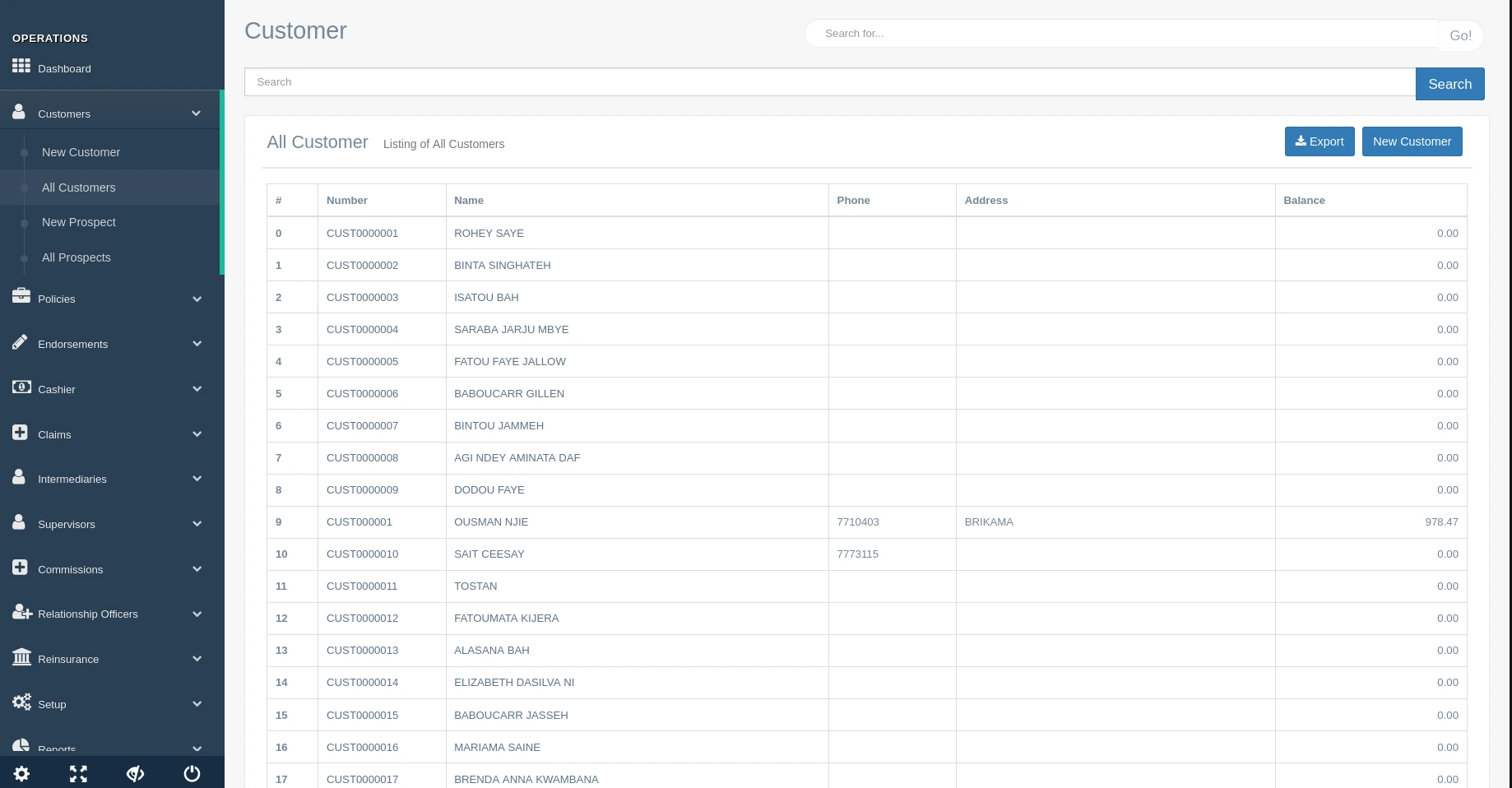 Customer Listing Interface